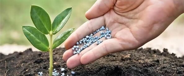 kualitas Aditif Makanan Dan Pakan pabrik