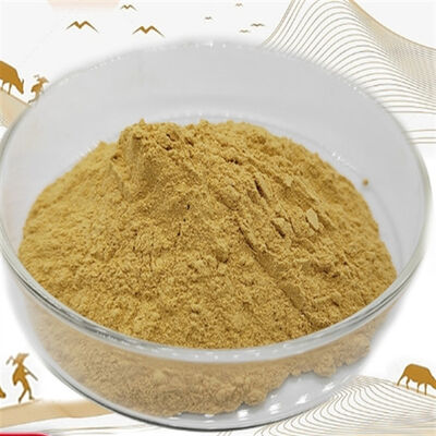 Harga yang bagus 90147-43-6 CAS 90147-43-6/ Serbuk Nutraceutical Standardized Kualitas Dijamin on line