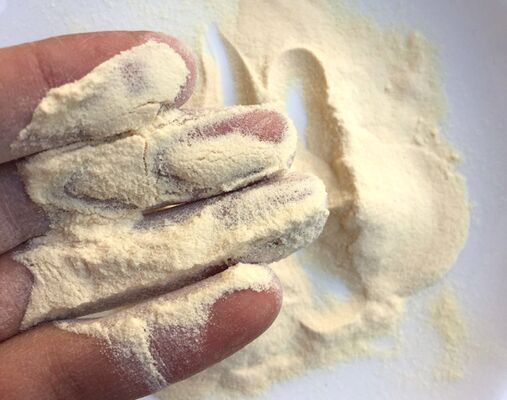 Harga yang bagus CAS 73049-73-7 Hidrolizat Protein Larut dalam Air Peptone Untuk Aplikasi Mikrobiologi on line