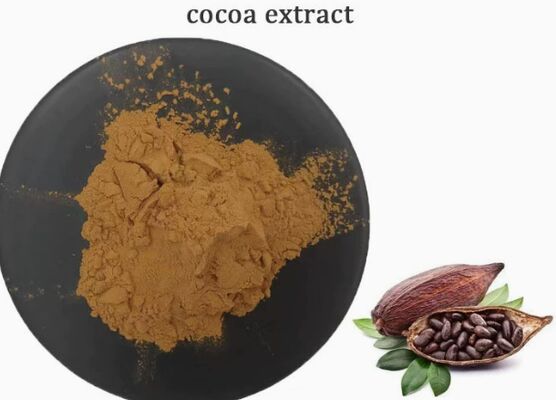 Harga yang bagus CAS 84649-99-0 Ekstrak Kakao Theobroma Untuk Ekstrak Kakao Makanan Dan Minuman on line