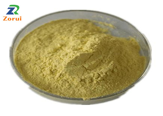 Harga yang bagus Ekstrak Sophora Japonica / Bubuk Quercetin Massal Untuk Penekan Batuk Ekspektoran CAS 117-39-5 on line