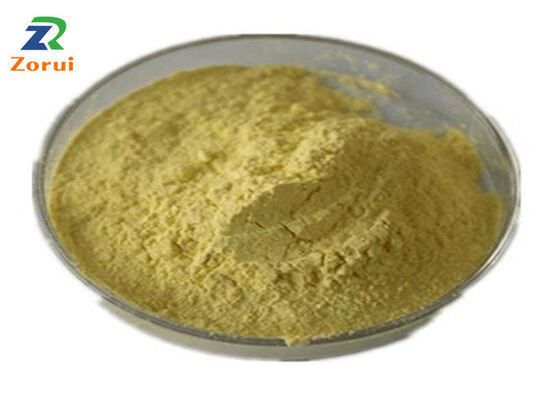 Harga yang bagus Ekstrak Sophora Japonica / Bubuk Quercetin Untuk Penekan Batuk & Ekspektoran CAS 117-39-5 on line