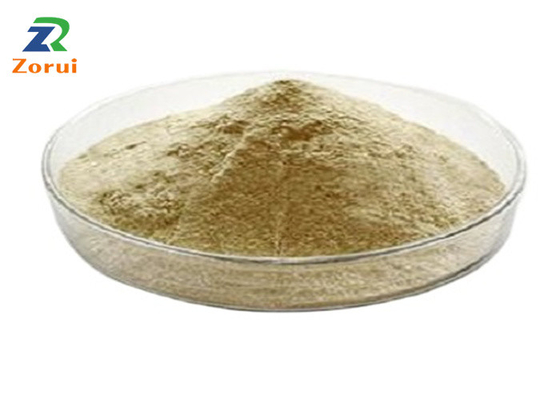 Harga yang bagus 990,5% CAS 20150-34-9 Besi / Besi Bisglisinat Bubuk Suplemen Besi on line