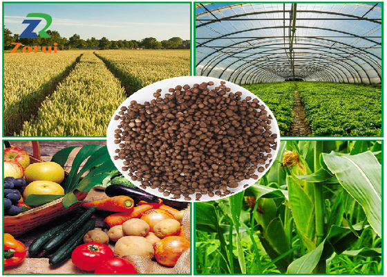 Harga yang bagus CAS 7783-28-0 Diammonium Fosfat / DAP Brown Granule Fertilizer NPK 18-46-0 21-53-0 on line