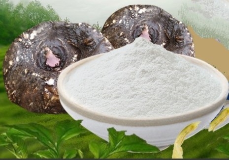 Harga yang bagus CAS 37220-17-0 Suplemen makanan Konjac Glucomannan E425ii Konjac Gum Powder on line