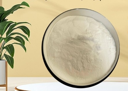 Harga yang bagus CAS 90-80-2 E575 Glucono-Delta-Lactone GDL Powder Untuk Industri Daging Roti on line