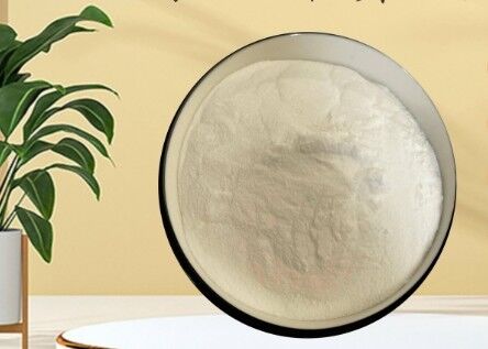 Harga yang bagus CAS 90-80-2 E575 Glucono-Delta-Lactone GDL Untuk Industri Daging Susu on line