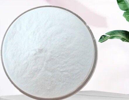 Harga yang bagus Santan Bubuk Food Grade Bubuk Putih Lemak Kelapa Alami Untuk Produk Makanan Minuman on line