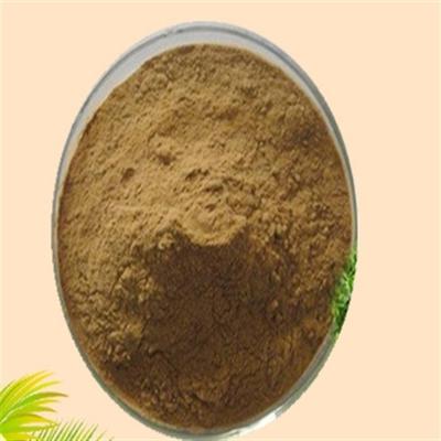 Harga yang bagus CAS 84604-15-9 Serenoa Serrulata Ekstrak Buah ISO Pabrik Ekstrak Saw Palmetto on line