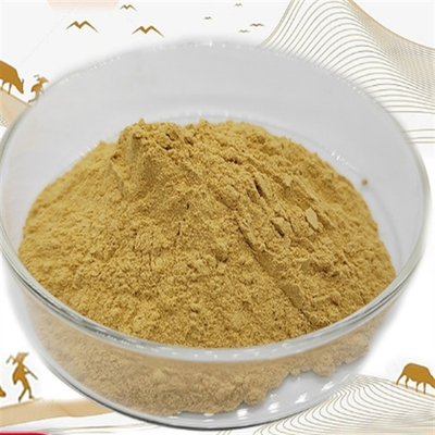 Harga yang bagus CAS 90045-38-8 Ekstrak Ginseng Suplemen makanan Ekstrak Akar Panax Ginseng on line