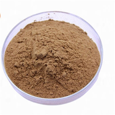 Harga yang bagus Ekstrak Ginkgo Biloba CAS 90045-36-6 Antioksidan Kelas Kosmetik Flavonoid Untuk Perawatan Anti-penuaan Kulit on line