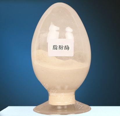 Harga yang bagus Enzim Lipase CAS 9001-62-1 untuk Metabolisme Lipid Kemurnian 99% on line