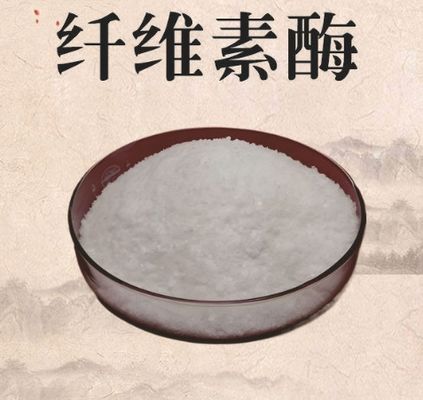 Harga yang bagus Enzim Selulosa 99% Kejernihan Bubuk Putih CAS 9012-54-8 on line