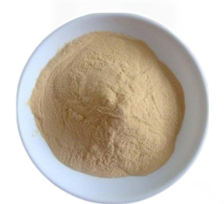 Harga yang bagus CAS 8013-01-2 Ekstrak ragi penambah rasa dari Saccharomyces Cerevisiae on line