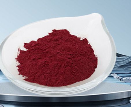 Harga yang bagus Merah Cerah Alami Asal Cochineal Merah Carmine E120 Stabil pada pH 3-8 untuk Makanan dan Kosmetik on line
