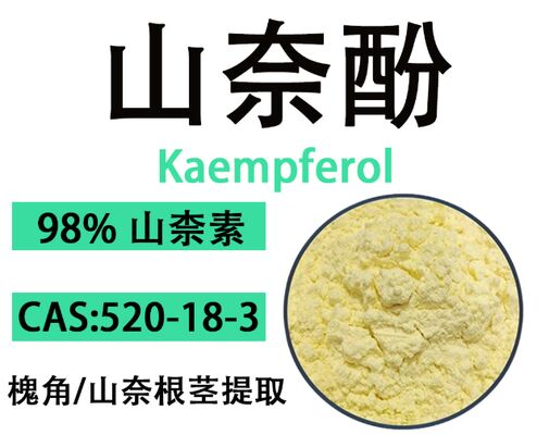 Harga yang bagus CAS 520-18-3 Formulasi Antioksidan Dan Anti Penuaan 98% Kaempferol Bubuk Kristal Kuning on line