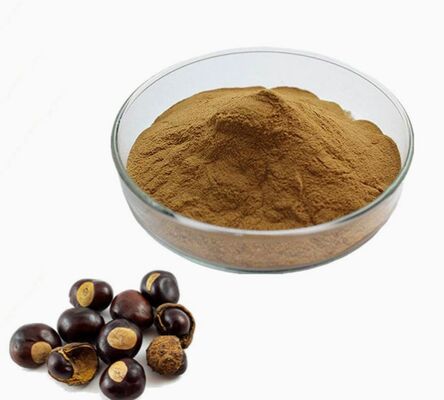 Harga yang bagus CAS 8053-39-2 Ekstrak Biji Aesculus Hippocastanum Kosmetik Anti Penuaan Ekstrak Kastanye Kuda on line