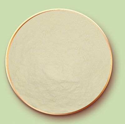 Harga yang bagus CAS 9010-66-6 Zein Powder Jagung Protein Untuk Kembang Gula Dan Pelapis Tablet on line