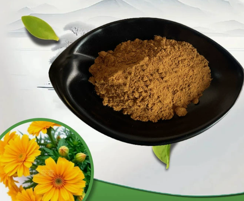 Harga yang bagus Ekstrak Calendula Officinalis alami CAS 84776-23-8 Bubuk kelas kosmetik on line